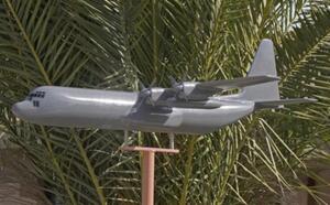 C-130 Hercules airplane model in gray, left side view on a pedestal mount in front of palm fronds