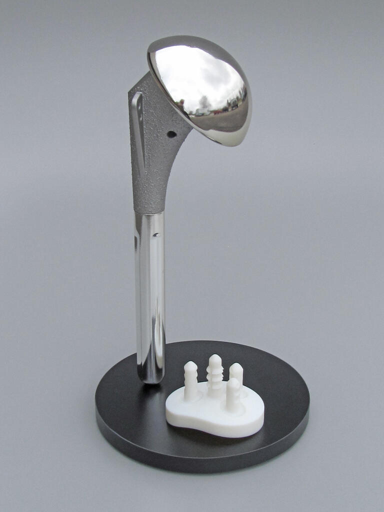 Medical Implant Models 