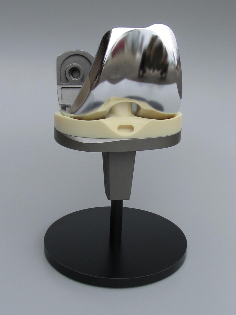 Medical Implant Models 