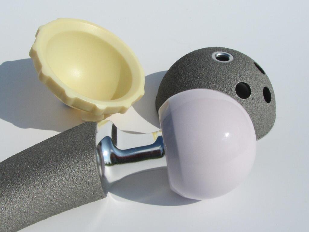 Hip Implant Model