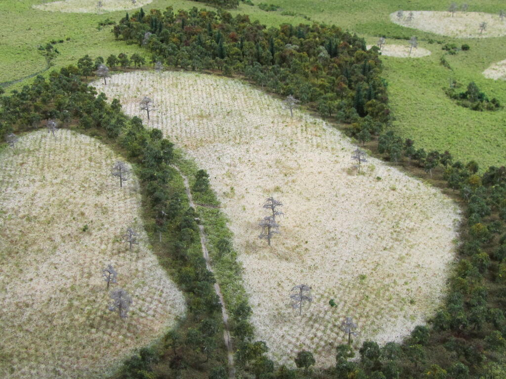 Historical Site Model of Native American Community