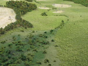Historical Site Model of Native American Community by KiwiMill