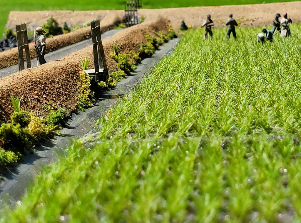 Rice Plantation Museum Model