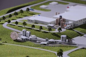 Bush Beans Architectural Model