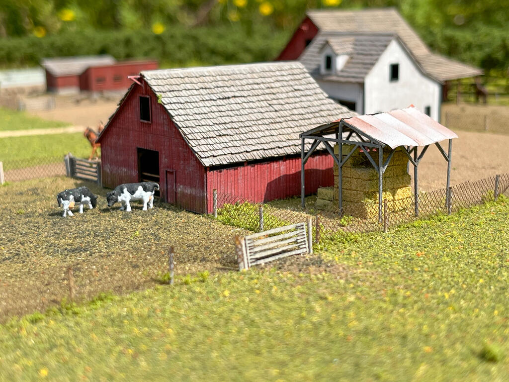 Peel Museum Diorama