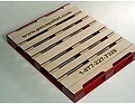 Giveaway Models