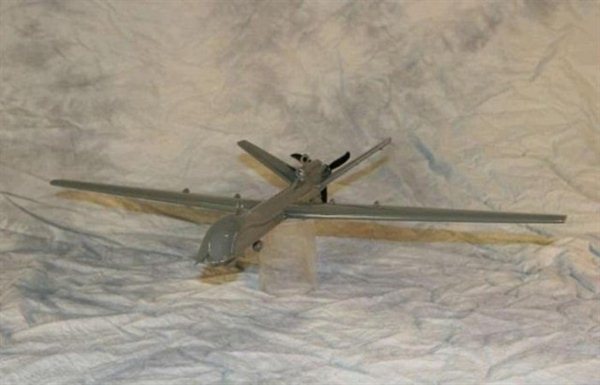 Predator Airplane Model