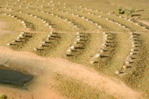 Prehistoric Museum Model