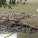 Water Purification System Diorama