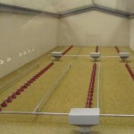 Poultry House Scale Model